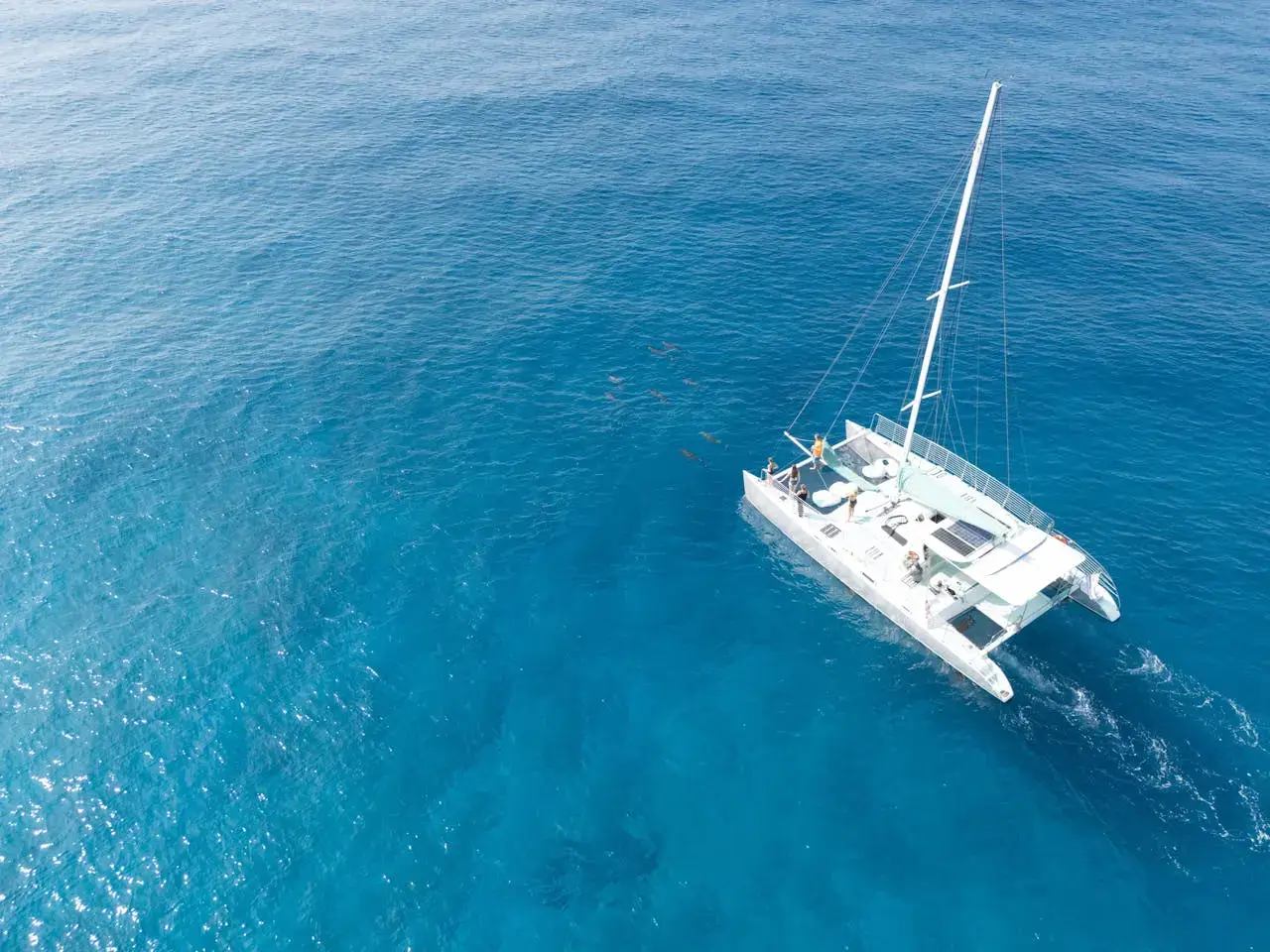 luxury life in staten Island