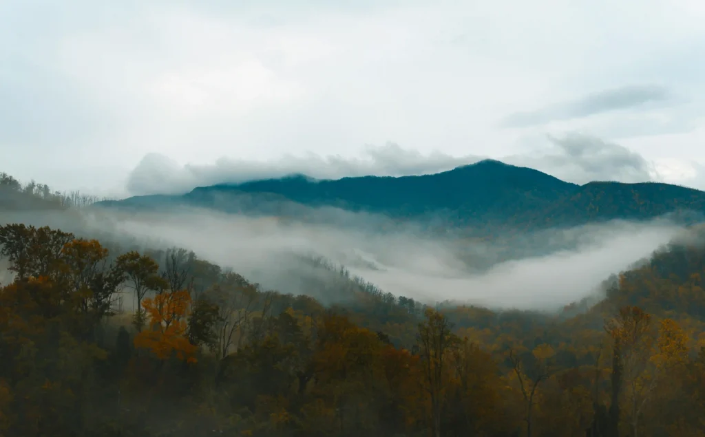 Parkway scenic view